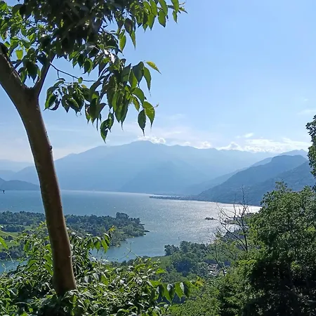 Bel Pace 公寓 索里科